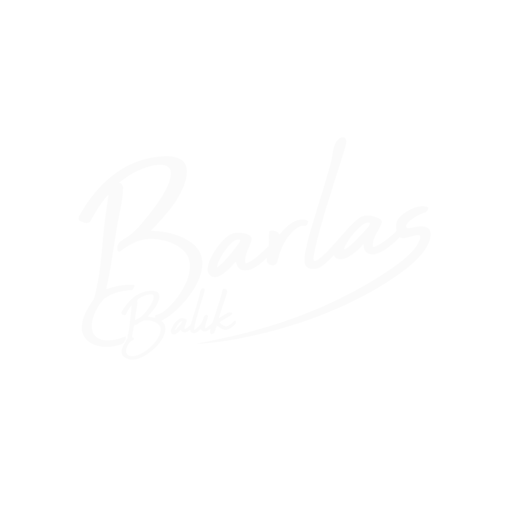 Barlas BalÃƒÆ’Ã¢â‚¬ÂÃƒâ€šÃ‚Â±k Logo